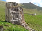einsam ragender Fels bei Alp Blengias Su - ein Bündner Schiefer wie aus dem Lehrbuch